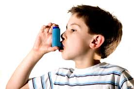 Ocho de cada diez casos de asma infantil son de origen alérgico