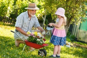 la jardinería y el bricolaje disminuyen el riesgo de infarto en mayores de 60 años