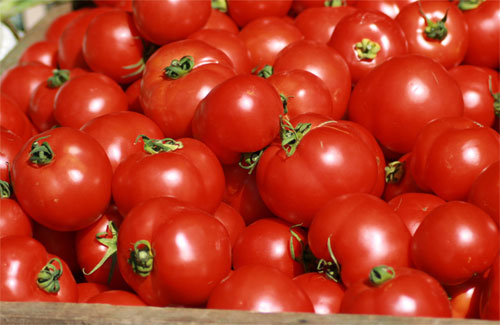 Una dieta rica en tomates puede reducir el riesgo de cáncer de mama
