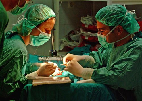 España bate un nuevo récord al hacer 45 trasplantes en un día
