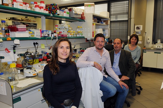 Investigadores españoles descubren el efecto neuroprotector de la reelina en enfermedades neurodegenerativas 