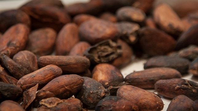 El cacao ayuda a retrasar la progresión de la diabetes tipo II