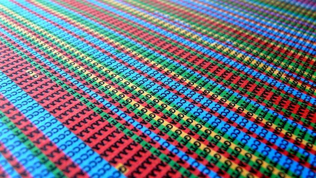 Sólo el 8,2 por ciento del ADN humano es funcional, el resto es material evolutivo sobrante