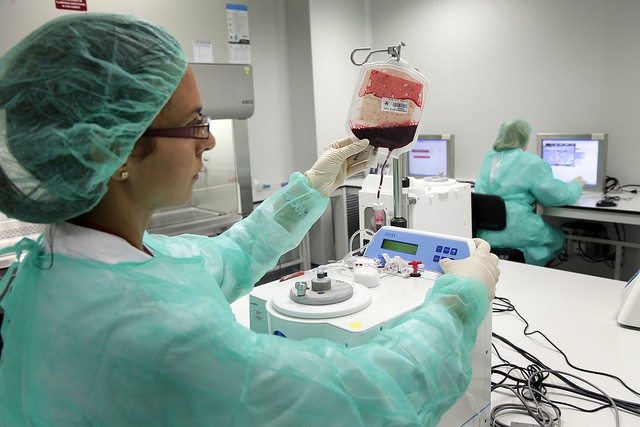 Primer paciente 'curado' del VIH por un trasplante de sangre de cordón umbilical
