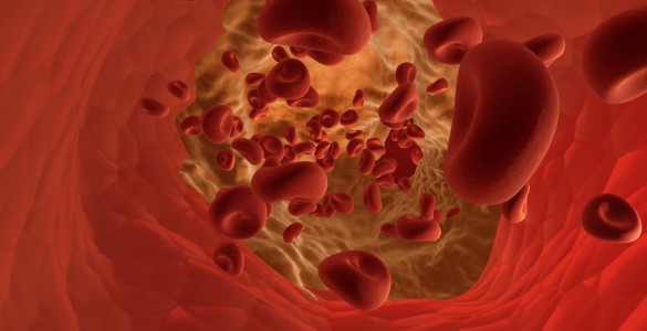 Investigadores españoles descubren una nueva variante de la hemoglobina durante un control rutinario