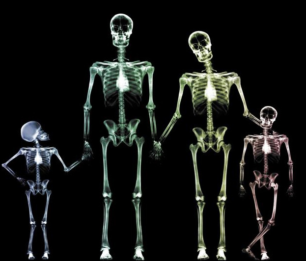 El estilo de vida sedentario ha condicionado la densidad ósea del esqueleto