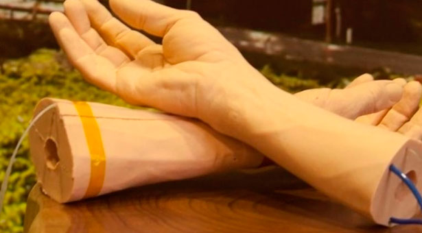 Google trabaja en una piel humana sintética para luchar contra el cáncer