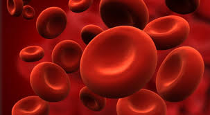 El 30% de los pacientes con hemofilia grave A y el 6% con hemofilia B puede desarrollar inhibidores a los tratamientos
