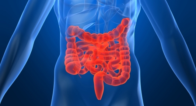 El cribado es clave en cáncer de colon