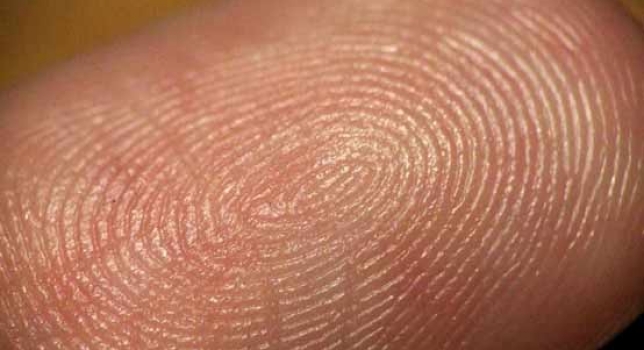Consiguen detectar drogas a través de las huellas dactilares