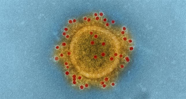 Una vacuna de ADN sintético contra el MERS aporta inmunidad