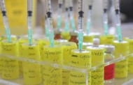El Comité de Bioética español apuesta por la vacunación obligatoria