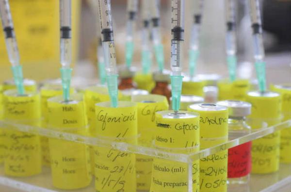 El Comité de Bioética español apuesta por la vacunación obligatoria