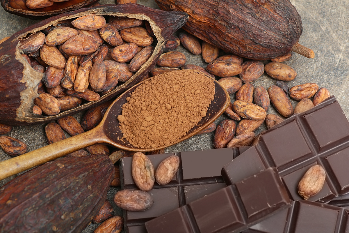 El cacao reúne las cualidades para integrarse en la dieta mediterránea