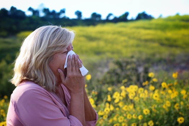 Decálogo para sobrevivir a la alergia estacional
