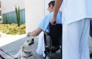 Ribera Salud y el Colegio de Veterinarios de Alicante permitirán las visitas de mascotas a pacientes