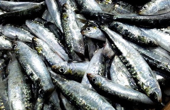 ¿Qué pasa si tomas una lata de sardinas a la semana?