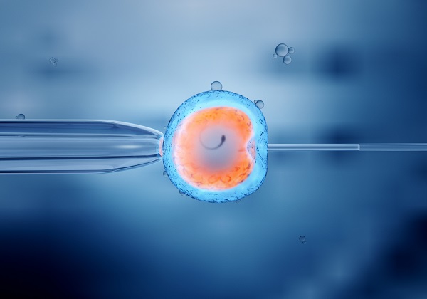Las técnicas no invasivas de diagnostico preimplantacional de embriones permitirán “curar embriones