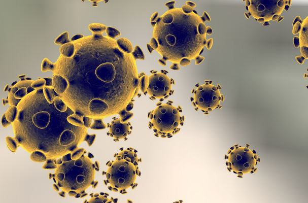 La OMS espera que haya unas 200.000 dosis de vacunas de ébola disponibles a mitad de 2015