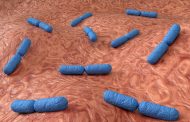 Cómo reforzar el sistema inmunitario a través del cuidado de la microbiota