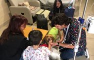 Beneficios de la terapia con animales en Quirónsalud Málaga