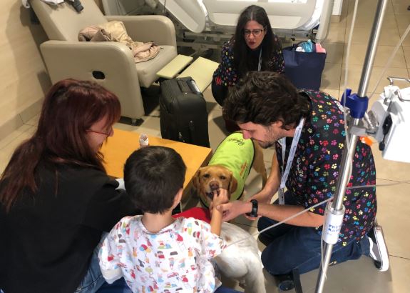 Beneficios de la terapia con animales en Quirónsalud Málaga