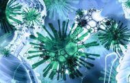 Así son los fagos, virus que pueden ayudarnos a combatir las superbacterias