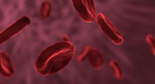 Hemofilia A: Novo Nordisk lanza una campaña para mejorar la calidad de vida de los pacientes