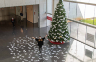 El Árbol de Navidad del Hospital de Dénia se llena de deseos de pacientes