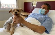 Ribera de Molina permite visitas de mascotas a pacientes ingresados
