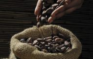 Ventajas del cacao para el cuerpo y la mente
