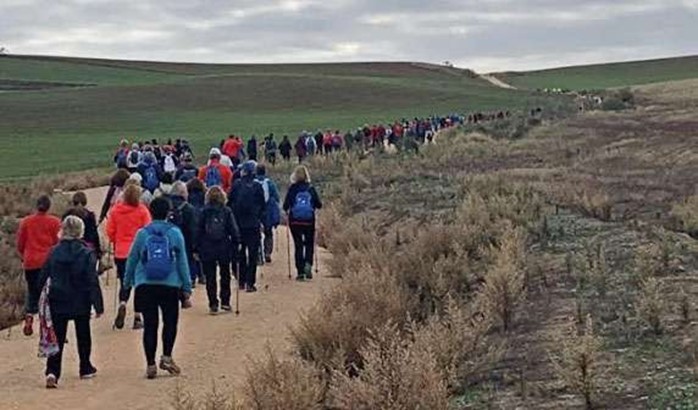 Quinta ruta del camino de Cervantes dedicada a la dermatitis y el cáncer de piel