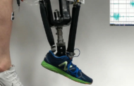 Tobillos robóticos para controlar la postura con impulsos nerviosos