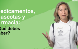 Nueva temporada del canal “Farmacia y mascotas”, con vídeoconsejos para contribuir al uso racional de los medicamentos veterinarios