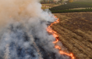 Los neumólogos recuerdan la importancia de protegerse frente al humo de los incendios forestales