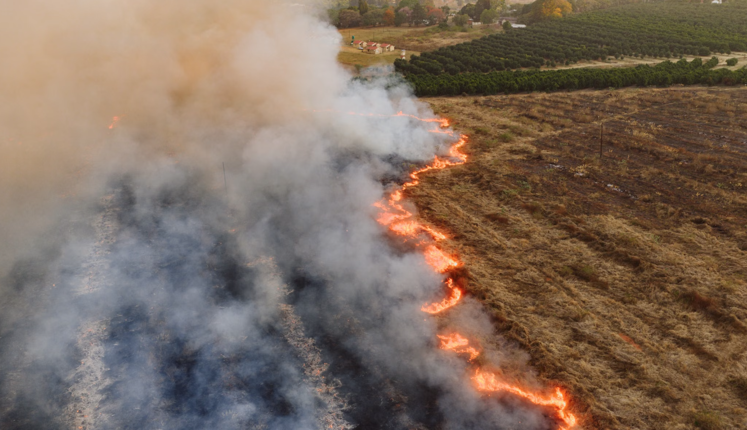 Los neumólogos recuerdan la importancia de protegerse frente al humo de los incendios forestales