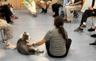 Madrid, primera región de España en implantar un programa terapéutico con perros para personas con trastorno mental grave